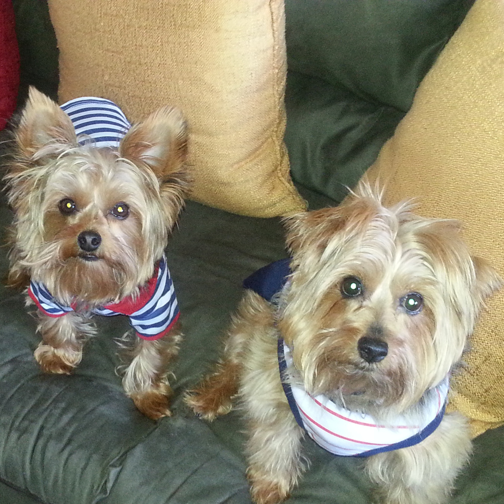 Meet your Posher, Mel